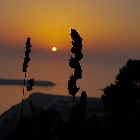 Your Nest In Nazare - Ocean View Villa Bagian luar foto
